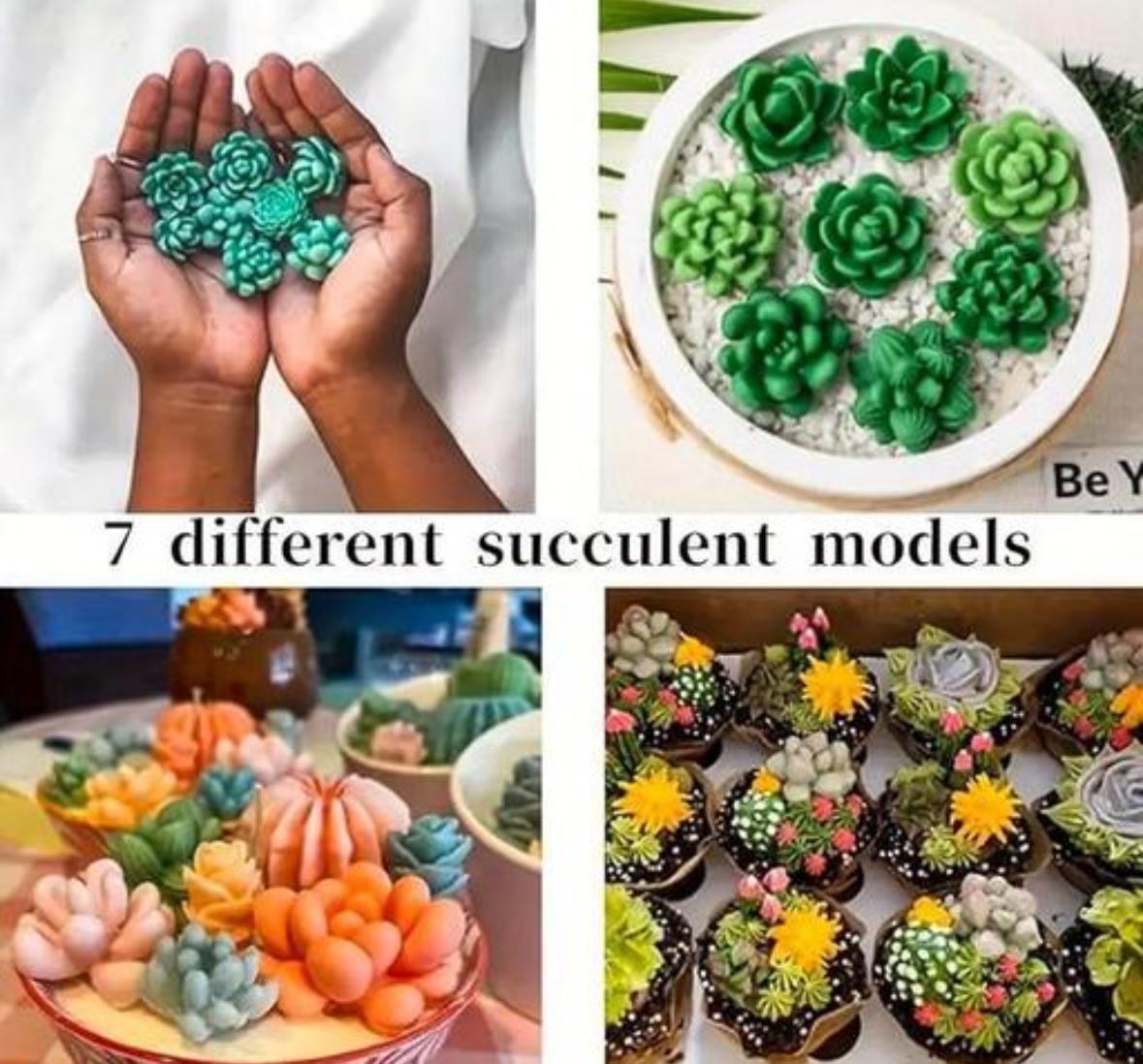 7 Cavity Succulent Flower Cactus Mold