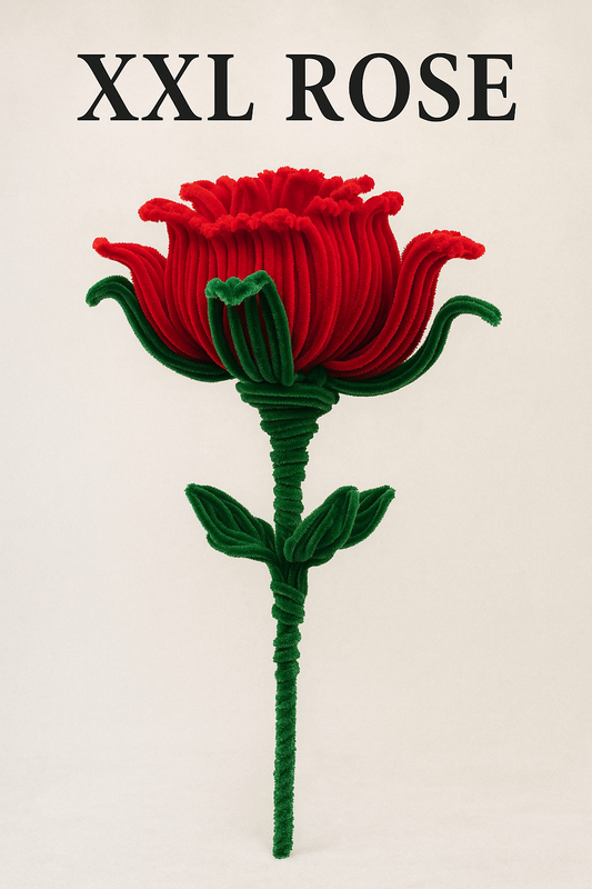 XXL Forever Rose