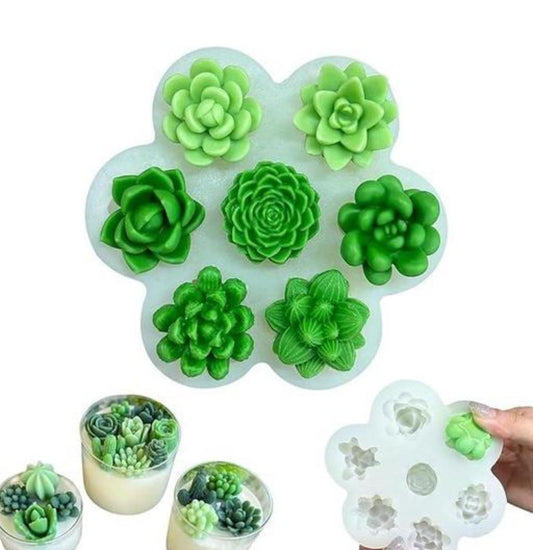 7 Cavity Succulent Flower Cactus Mold