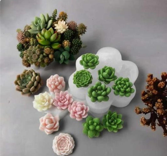 7 Cavity Succulent Flower Cactus Mold